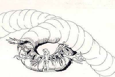 Tennesse wiggler the big fat worm aka le lombric cosmique - KLAT